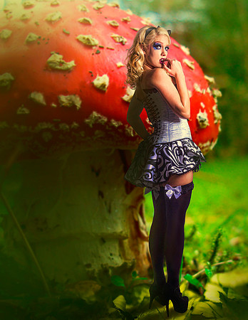 catlinMushroom