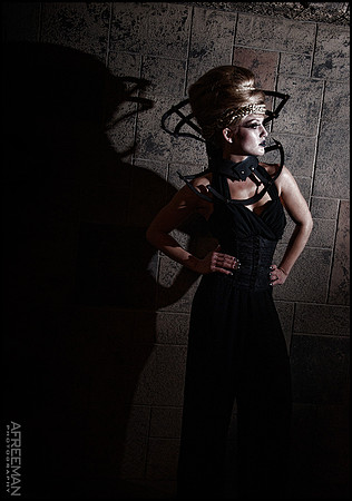 beehiveshadowLweb